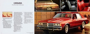 1977 Pontiac Full Size (Cdn)-06-07.jpg